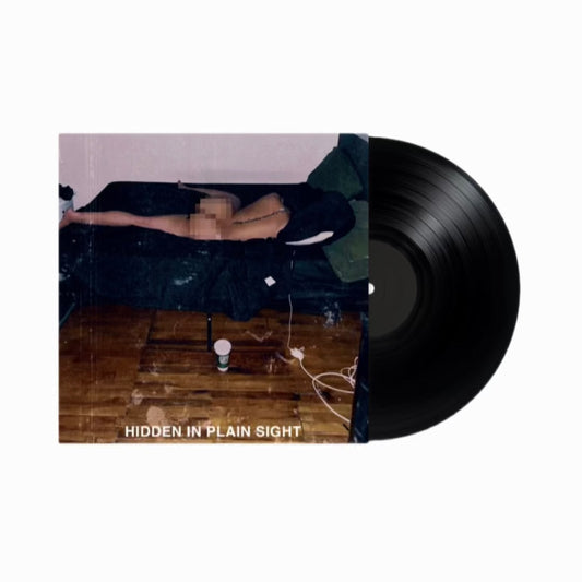 Hidden in Plain Sight Vinyl